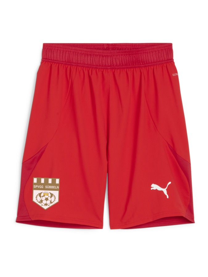 PUMA teamFINAL Shorts