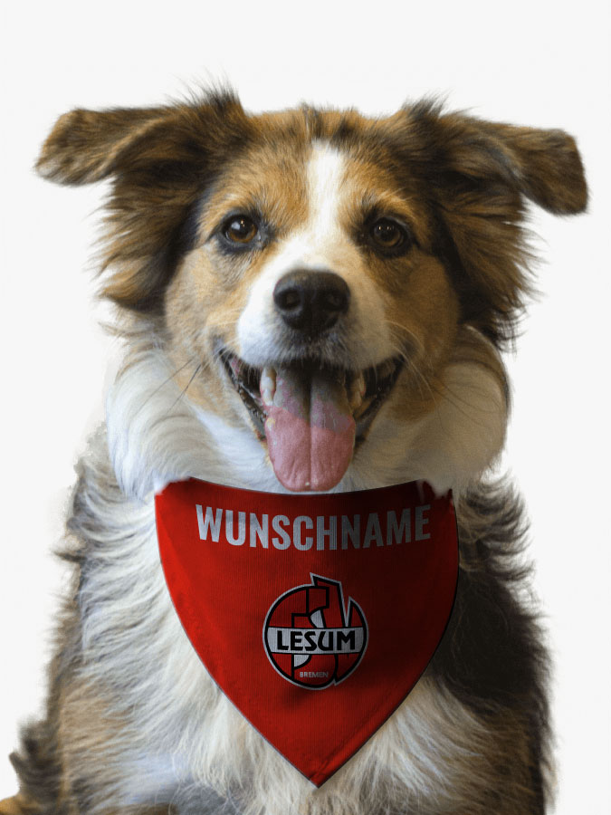 Hundehalstuch