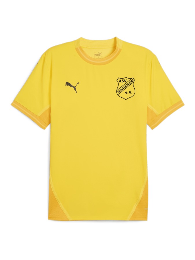 PUMA teamFINAL Trikot