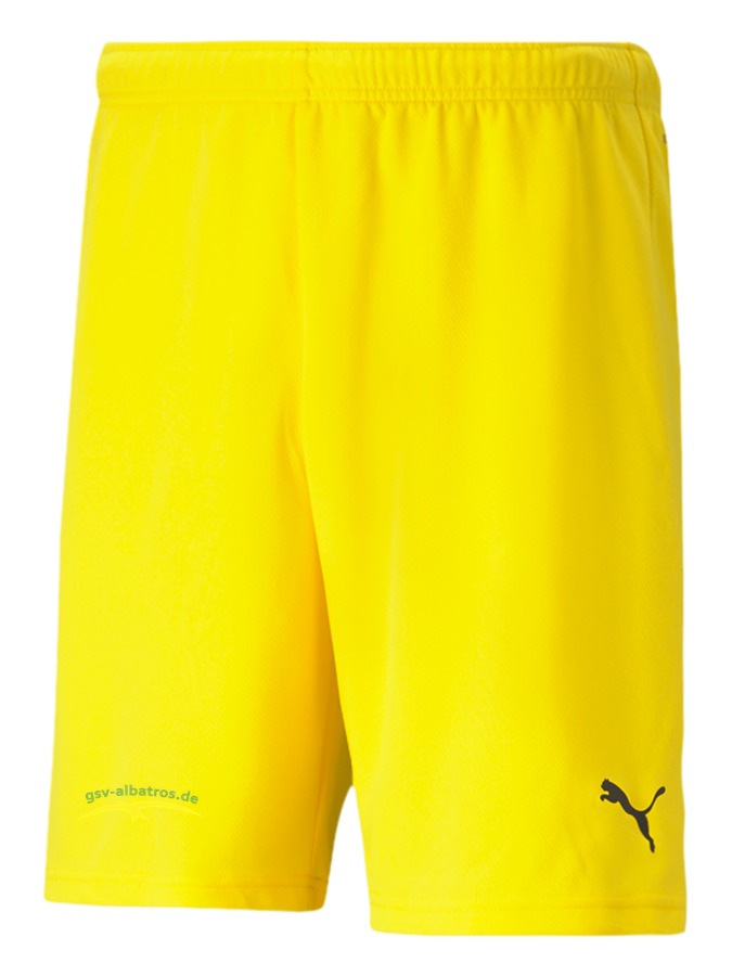 PUMA teamRISE Short