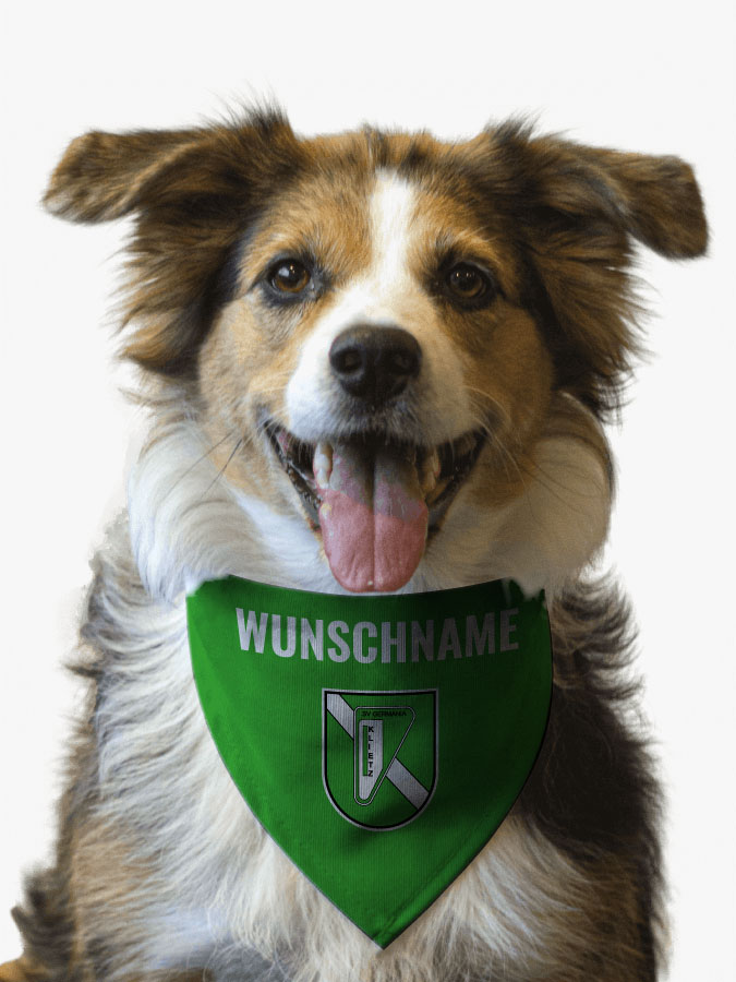 Hundehalstuch