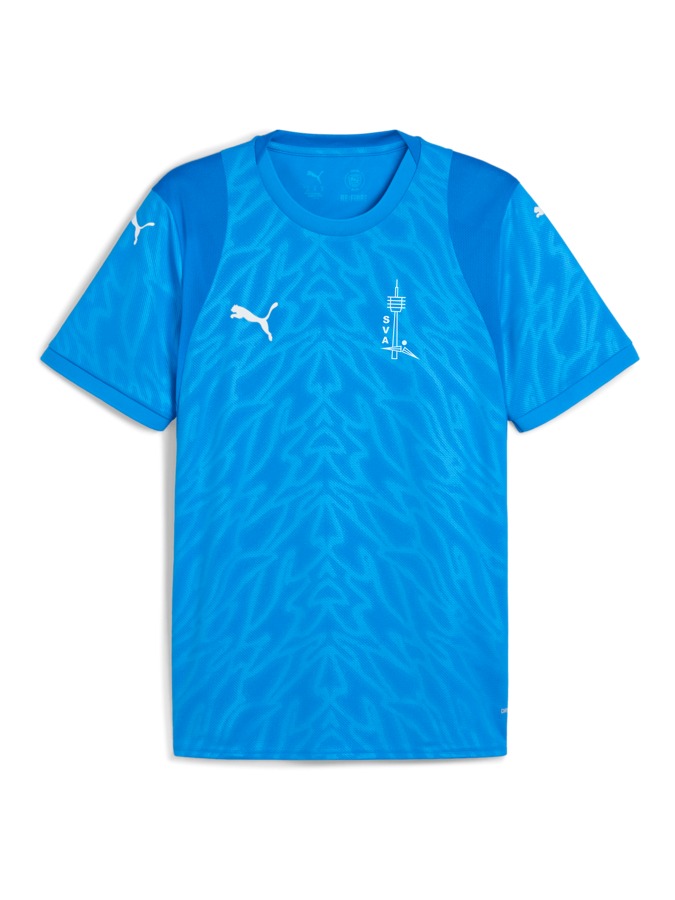 PUMA teamCUP Trikot