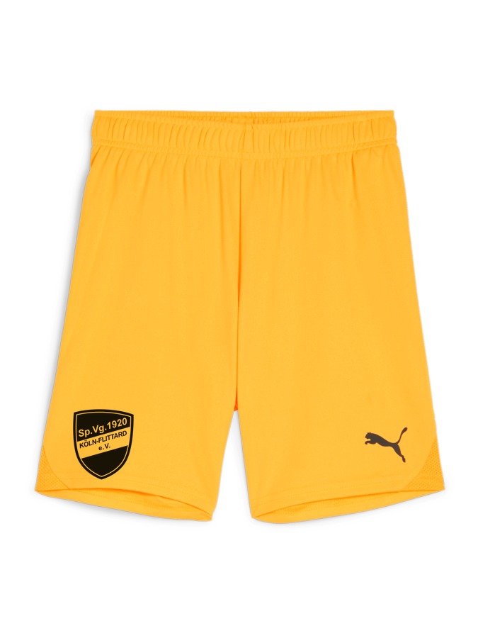 PUMA teamGOAL Shorts