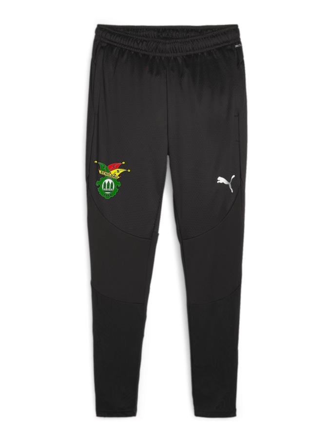PUMA teamFINAL Trainingshose