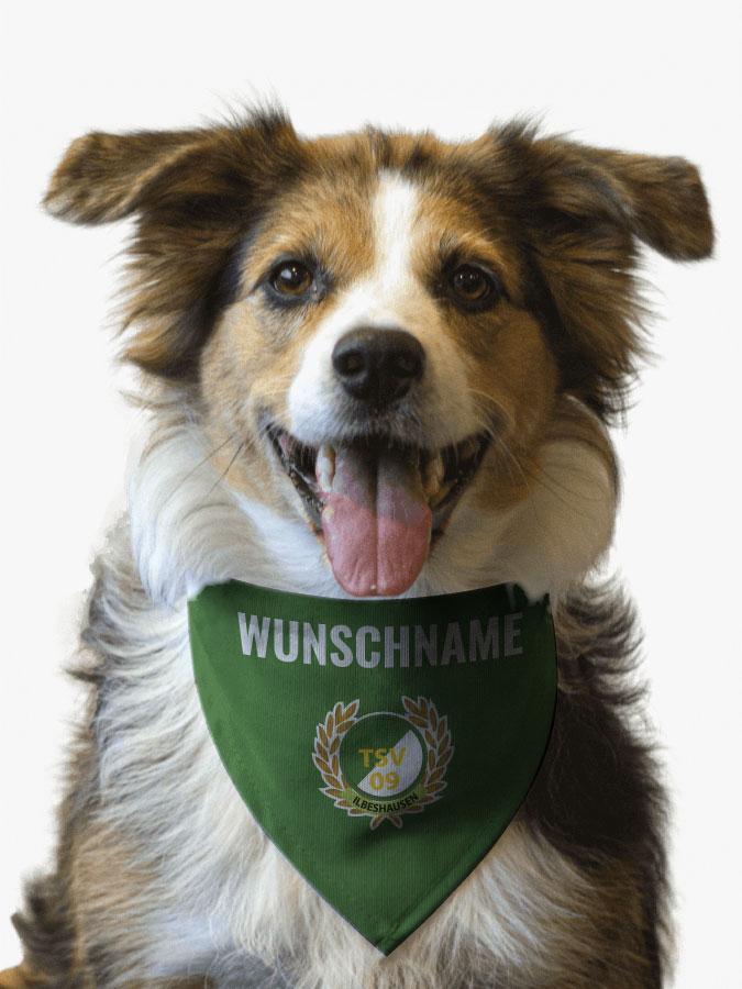 Hundehalstuch