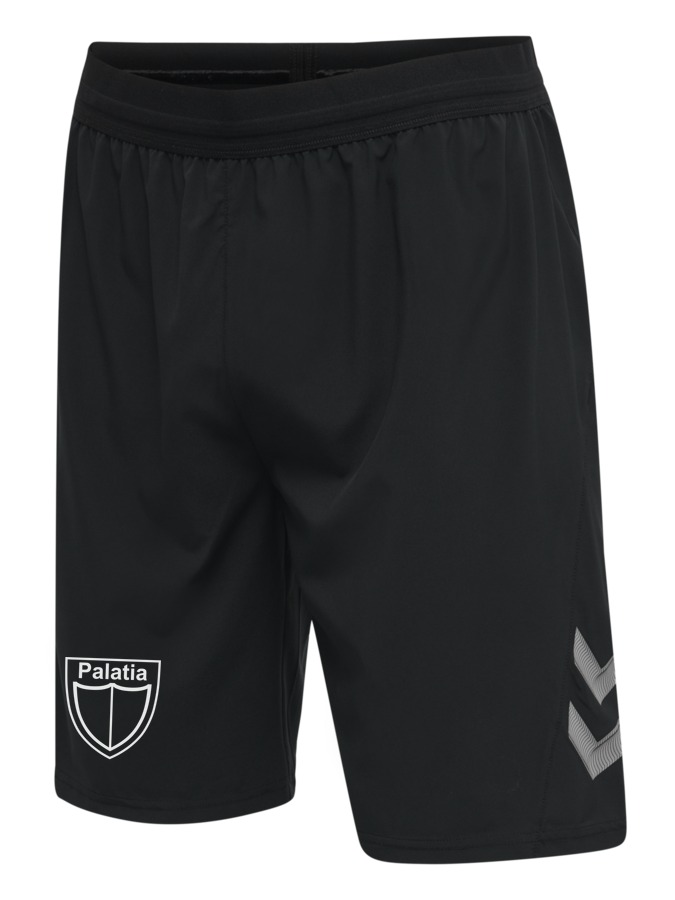 Hummel Lead Pro Training Shorts