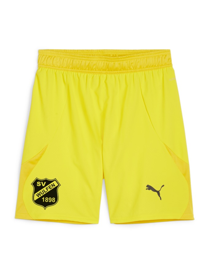 PUMA teamFINAL Shorts
