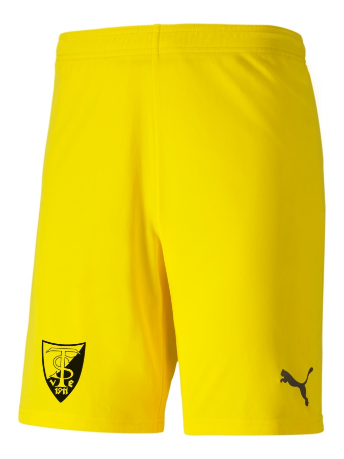 PUMA teamGOAL 23 Knit Shorts