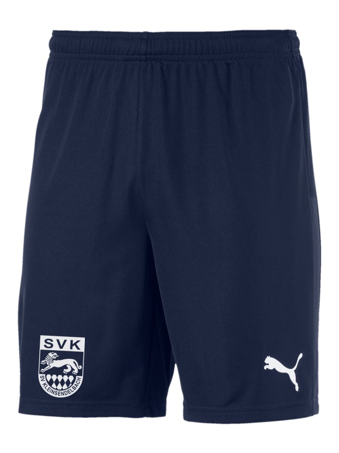 PUMA teamGOAL 23 Knit Shorts