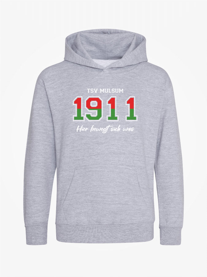 Hoodie Established Kids