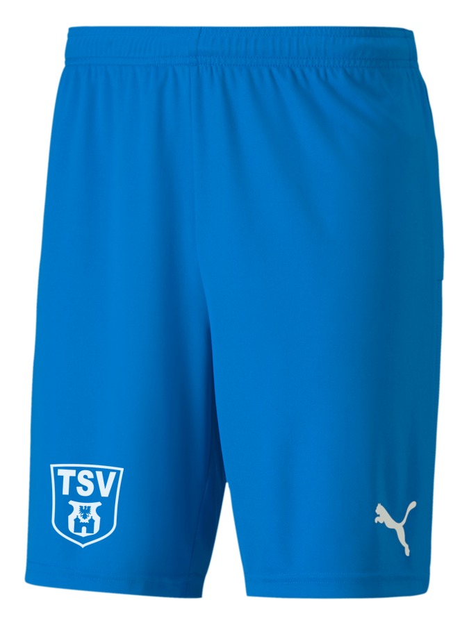 PUMA teamGOAL 23 Knit Shorts
