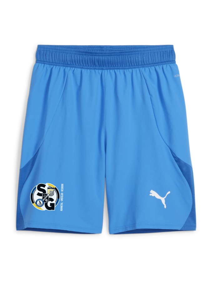 PUMA teamFINAL Shorts