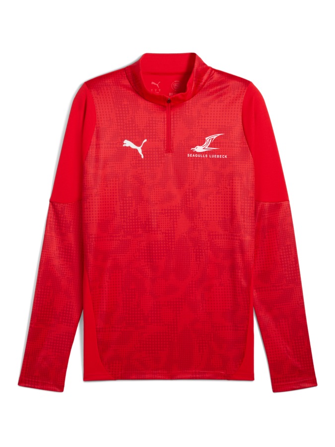 PUMA teamCUP Training 1/4-Zip-Top