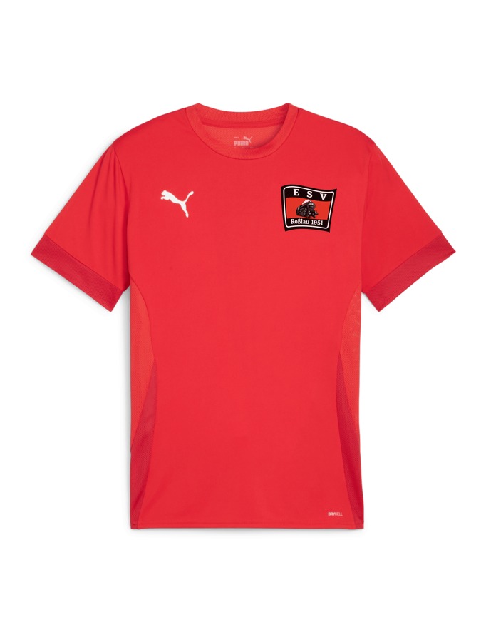 PUMA teamGOAL Matchday Trikot