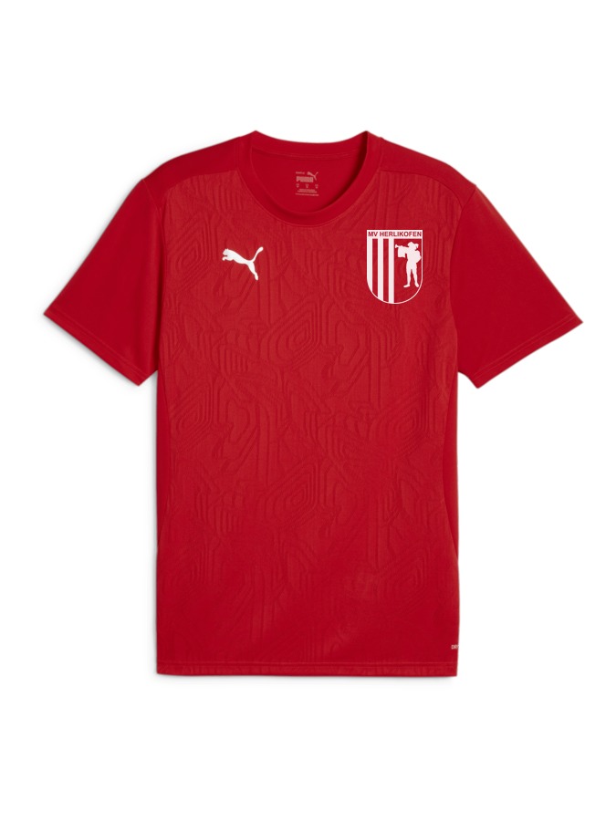 PUMA teamFINAL Trainingsshirt