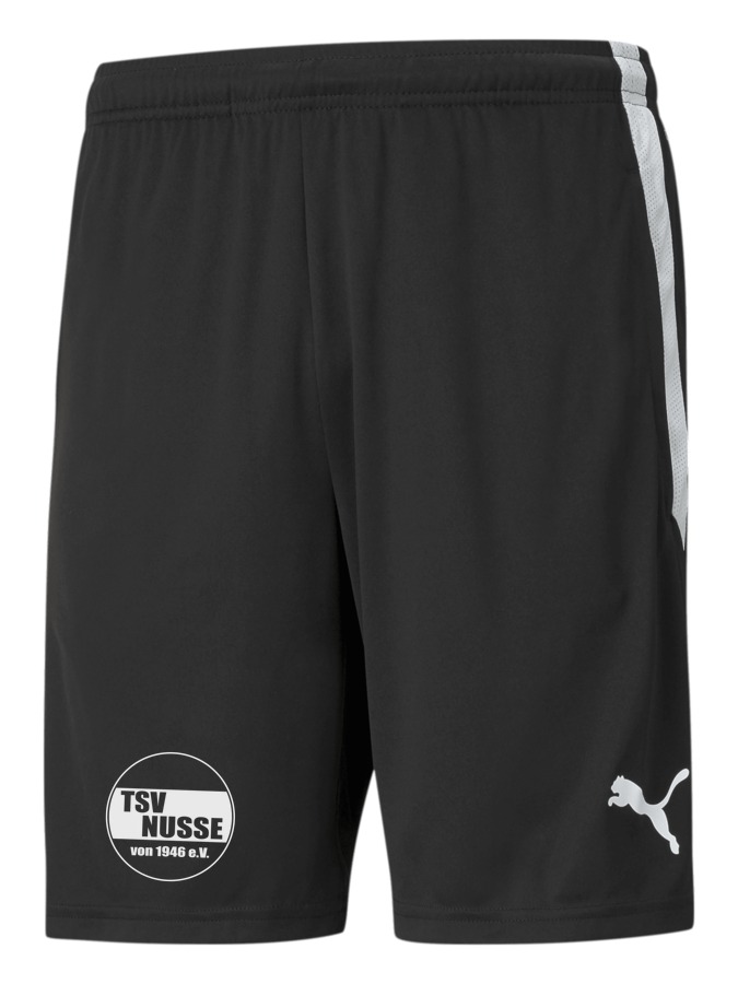 PUMA teamLIGA Training Shorts