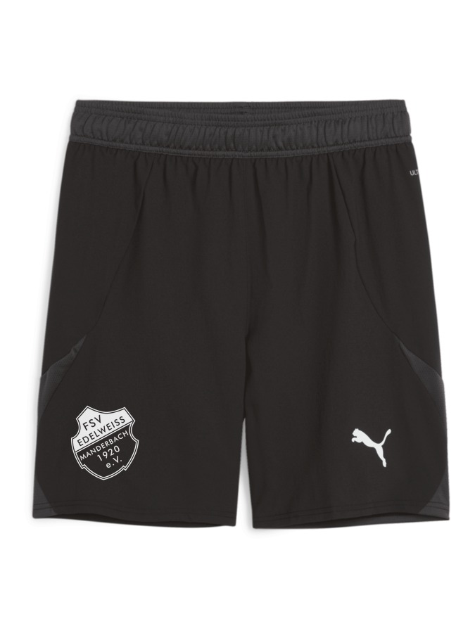 PUMA teamFINAL Shorts