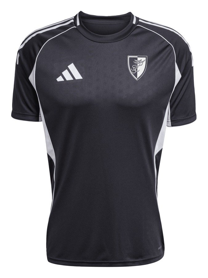 adidas Tiro 25 Competition Match Trikot