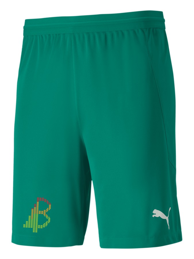 PUMA teamFINAL 21 Knit Shorts