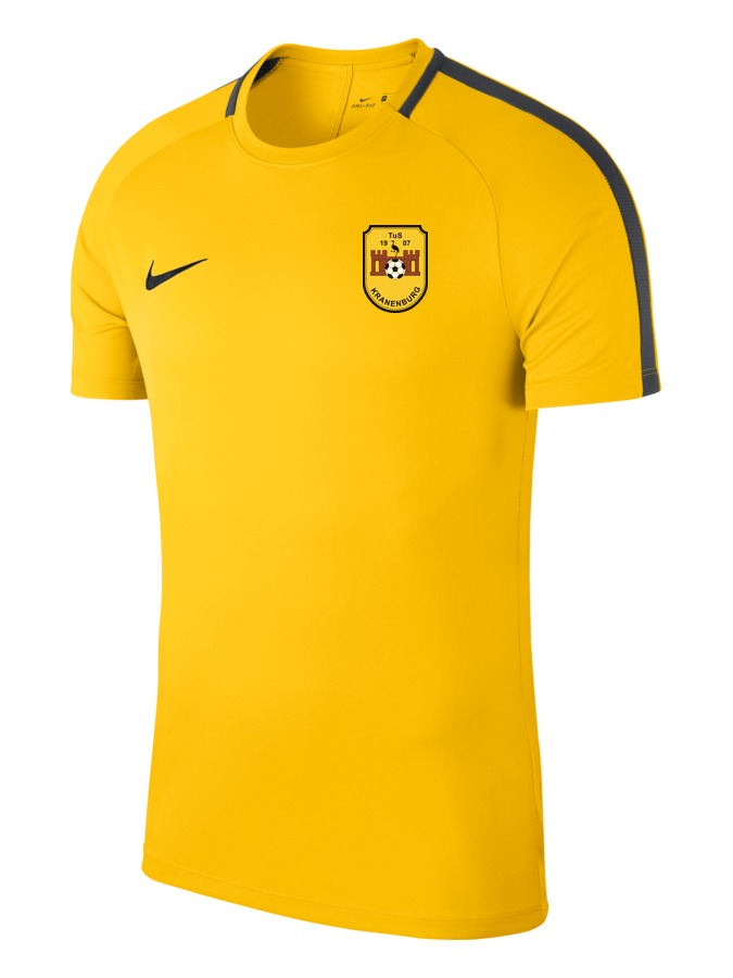 Nike Academy 18 Top