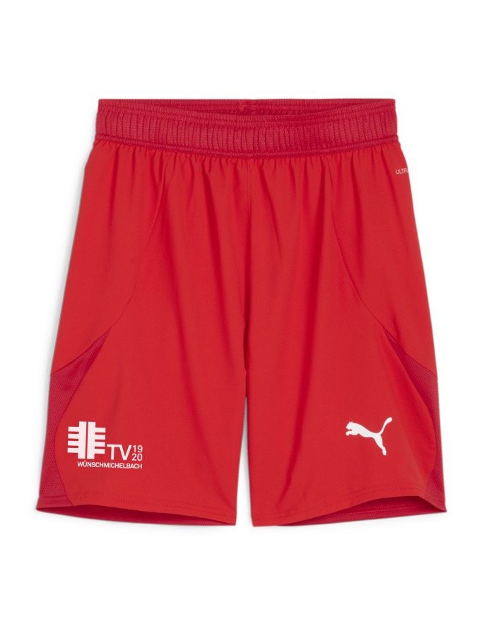 PUMA teamFINAL Shorts