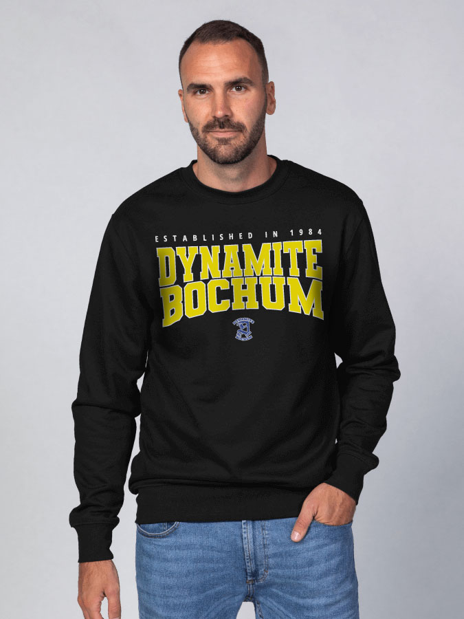 Sweater Retro Herren
