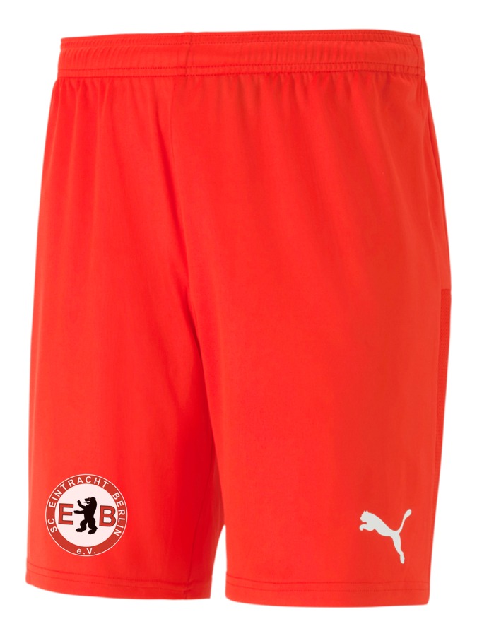 PUMA teamGOAL 23 Knit Shorts