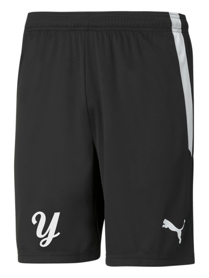 PUMA teamLIGA Shorts