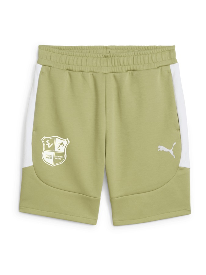PUMA teamEVOSTRIPE Shorts