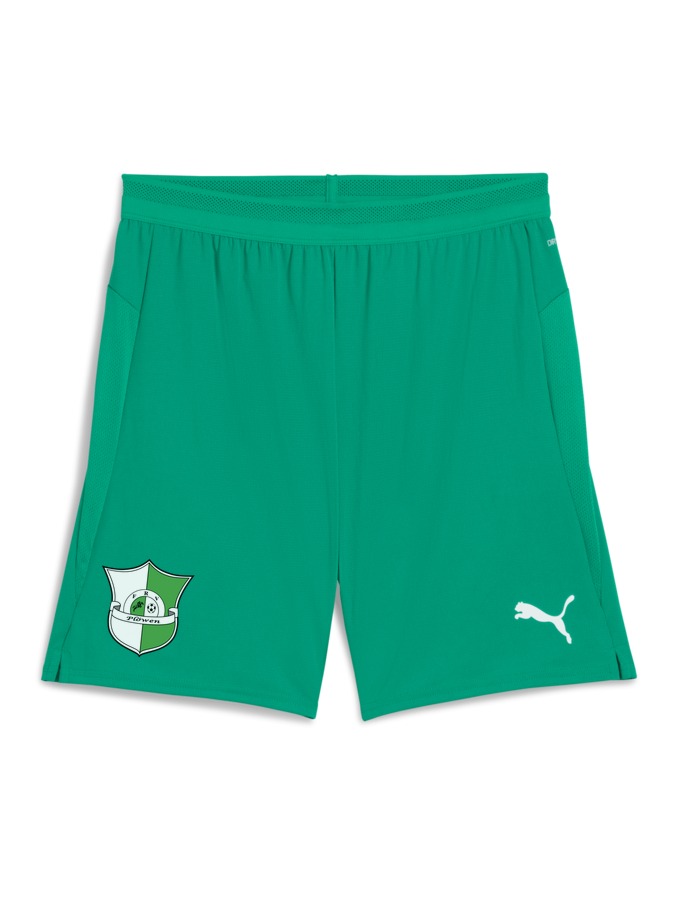 PUMA teamCUP Shorts