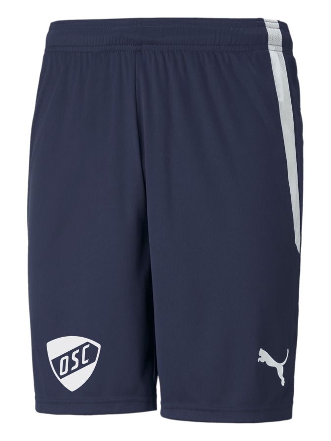 PUMA teamLIGA Shorts