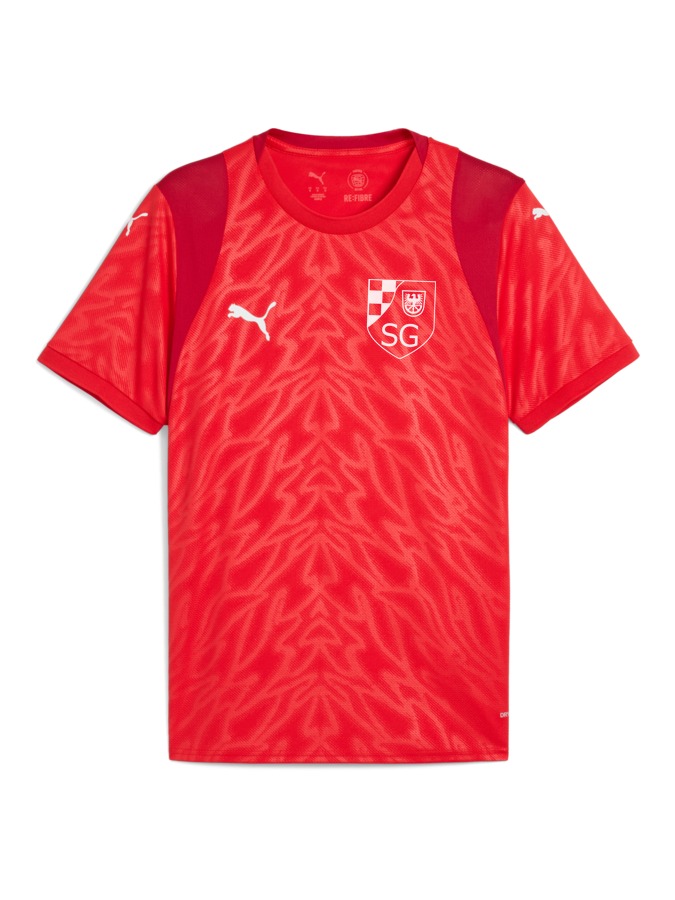 PUMA teamCUP Trikot
