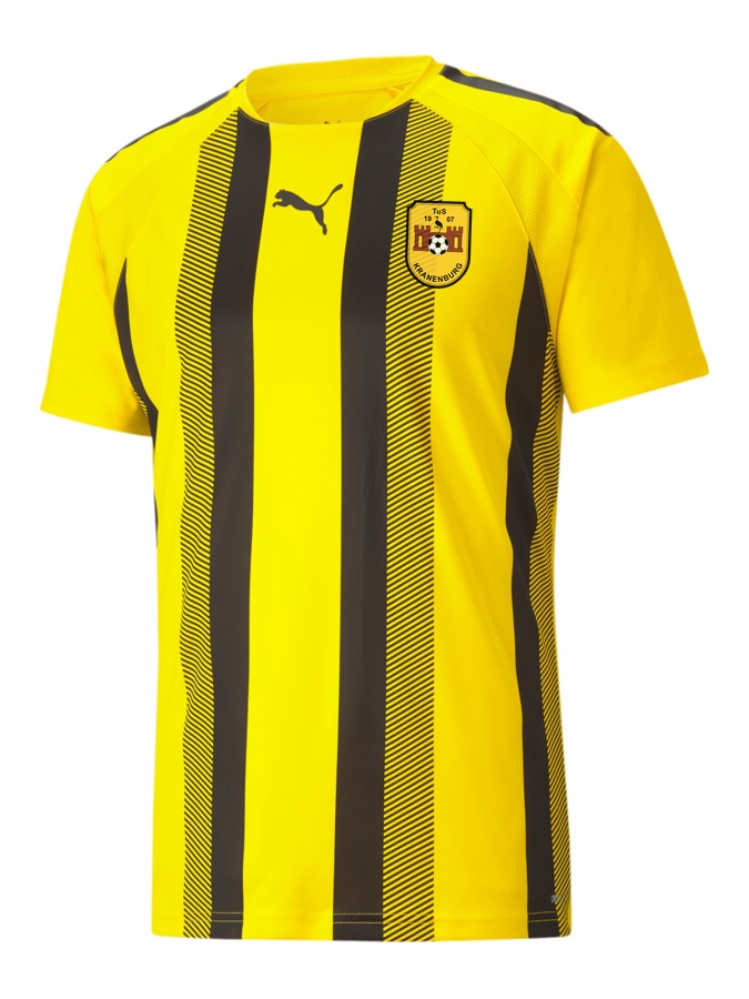 PUMA teamLIGA Striped Trikot