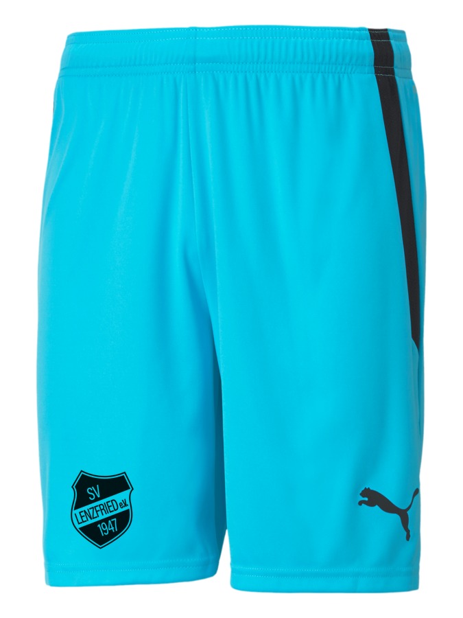 PUMA teamLIGA Shorts