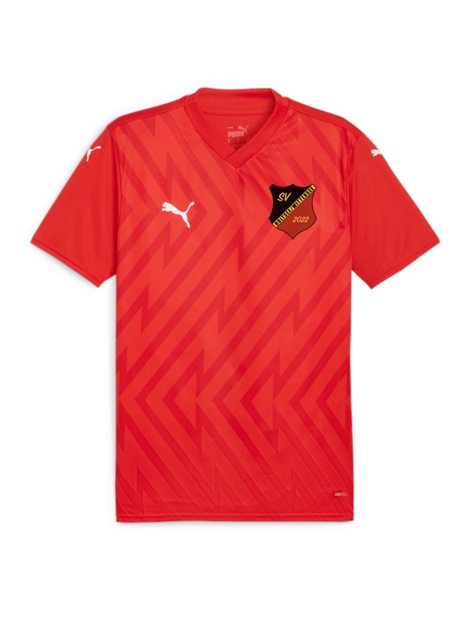 PUMA teamGLORY Trikot