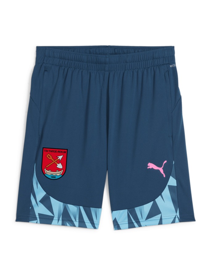 PUMA individualFINAL Shorts