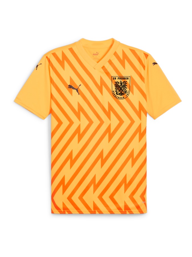 PUMA teamGLORY Trikot