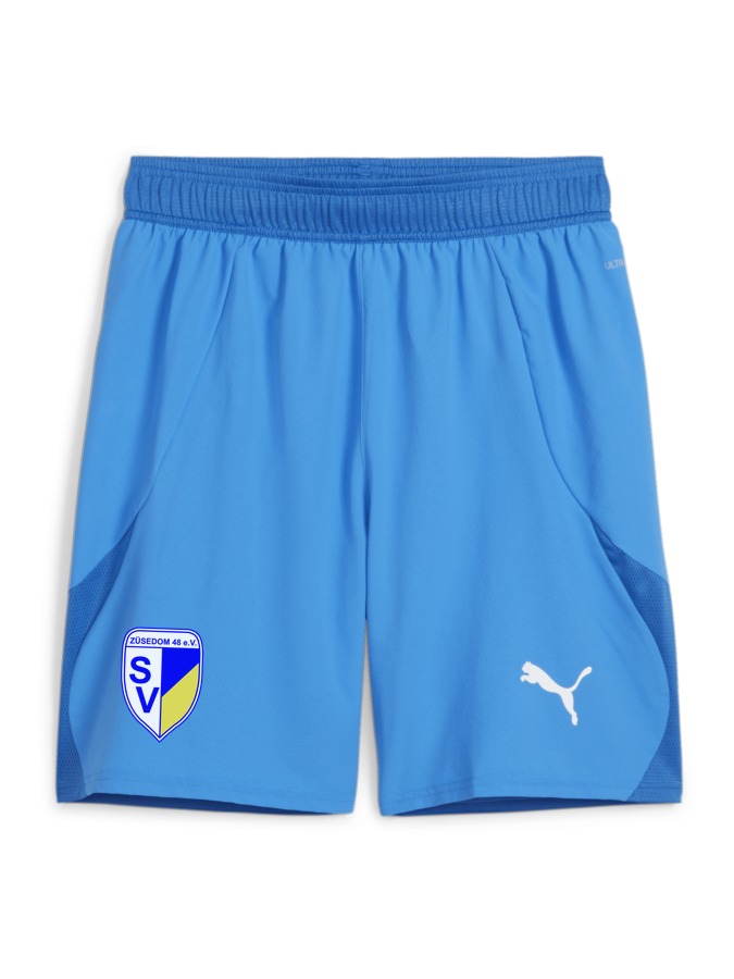 PUMA teamFINAL Shorts