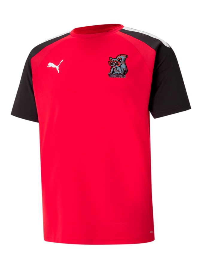 PUMA teamPACER Trikot