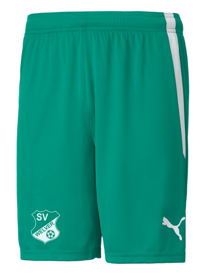 PUMA teamLIGA Shorts