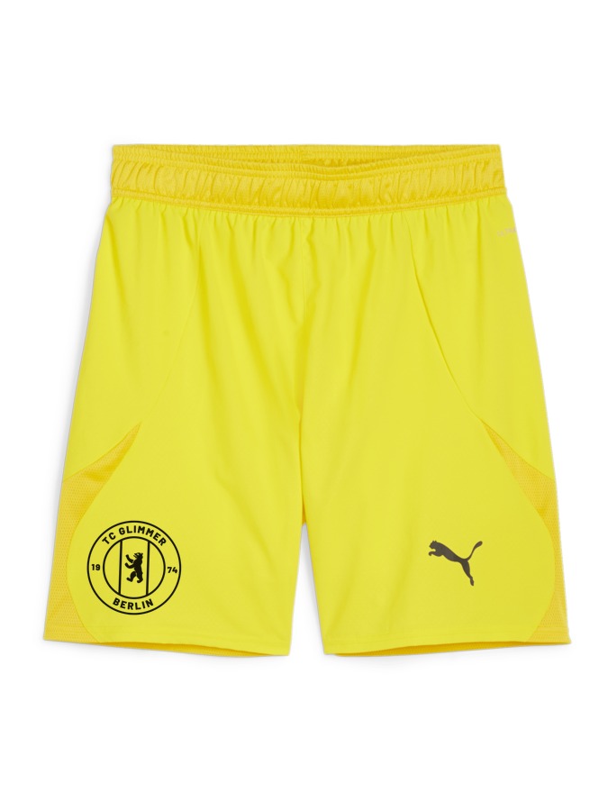 PUMA teamFINAL Shorts