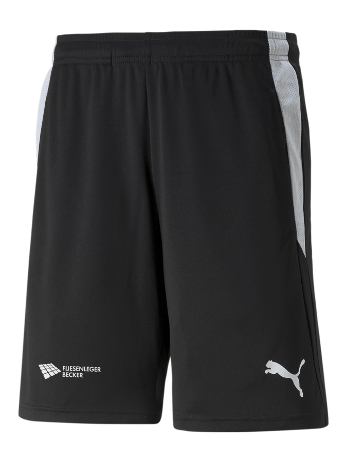 PUMA teamLIGA Referee Shorts