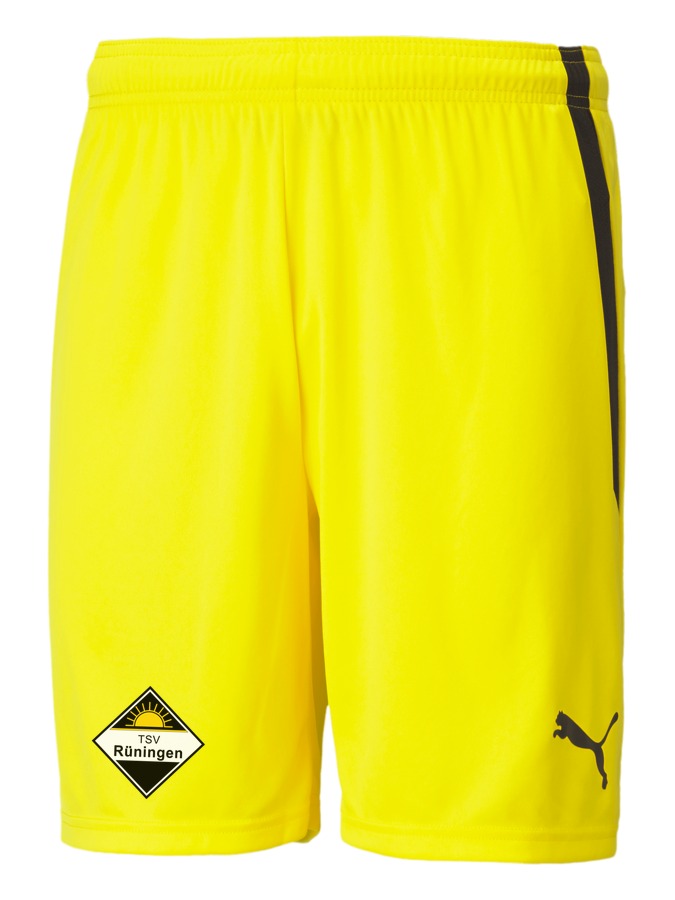 PUMA teamLIGA Shorts