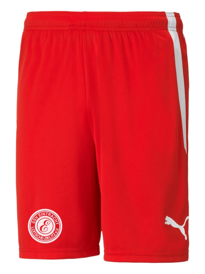 PUMA teamLIGA Shorts