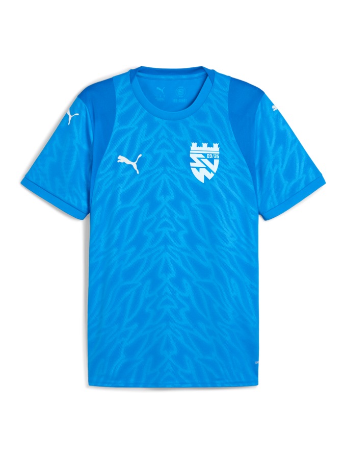 PUMA teamCUP Trikot