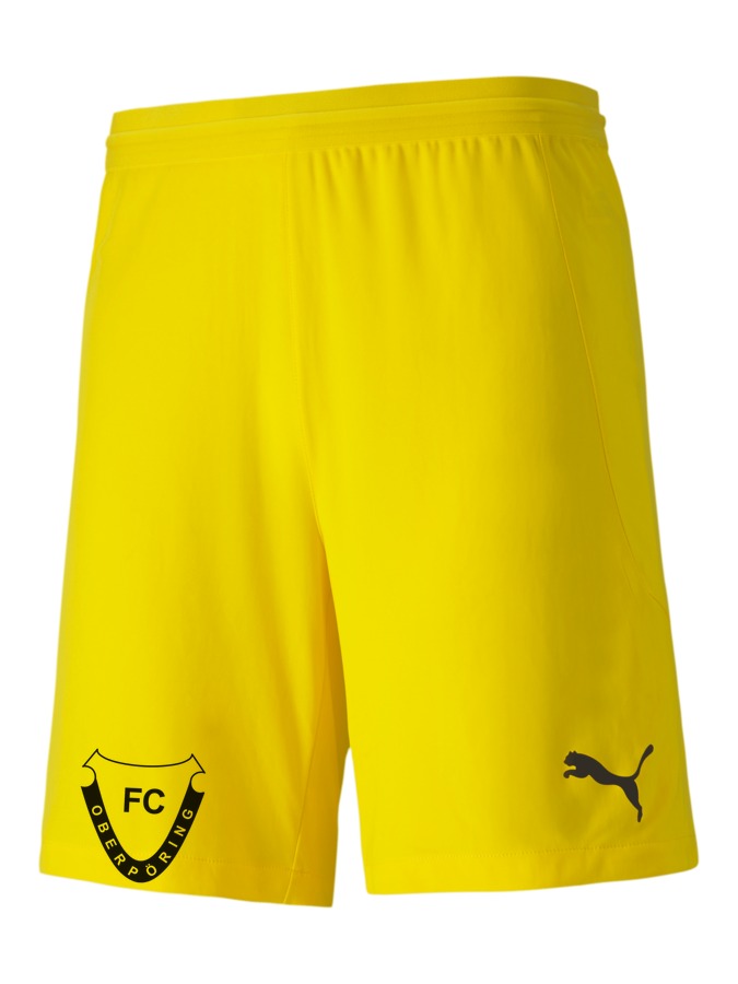 PUMA teamFINAL 21 Knit Shorts