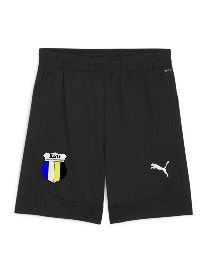 PUMA teamFINAL Training Shorts