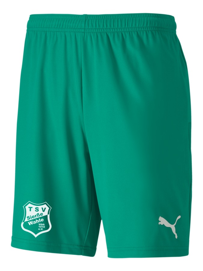 PUMA teamGOAL 23 Knit Shorts