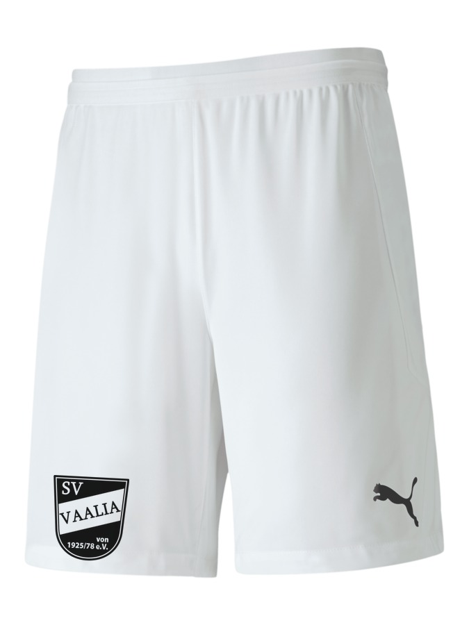 PUMA teamFINAL 21 Knit Shorts