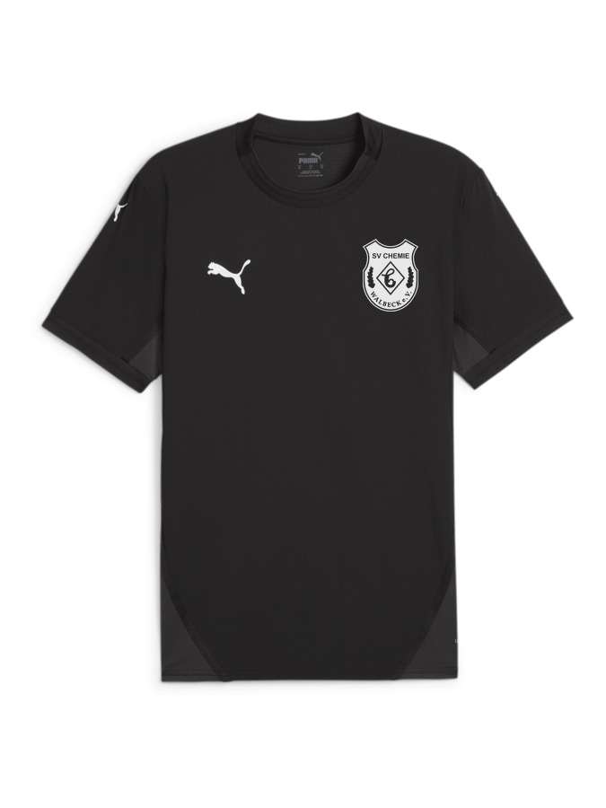 PUMA teamFINAL Trikot